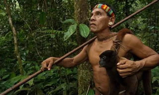 indigeno